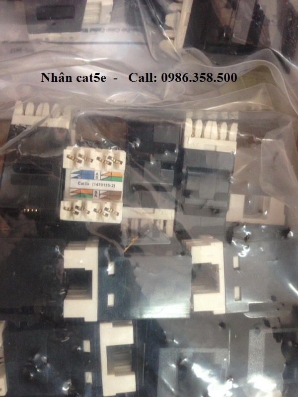 Patch Panel AMP 24 cổng cat5e nhân rời